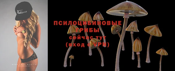 PSILOCYBIN Богданович