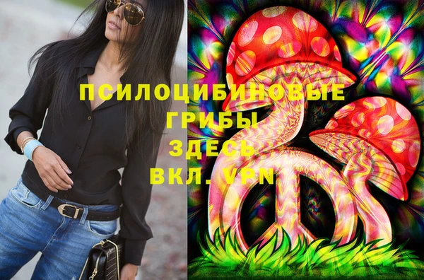 мдма Белокуриха