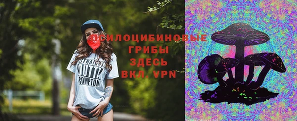 PSILOCYBIN Богданович